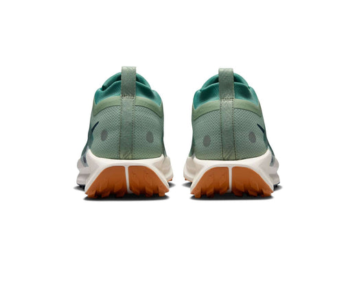 Scarpe da trail running da uomo Nike Pegasus Trail 5 GORE-TEX