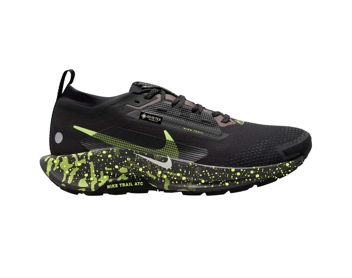 Nike Pegasus Trail 5 GORE-TEX trailrunschoenen voor heren